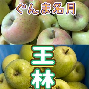 長野県北部 農家直送 王林&ぐんま名月 箱込み 7.6kg