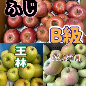 長野県北部 農家直送 3種SET 箱込み 7.7kg