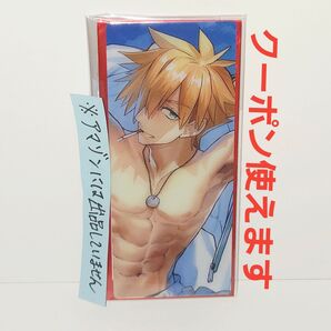 ※短期募集※値下げ不可 Fate/Grand Order FGO 最終再臨展 編成画面風カード アーチャー ロビンフッド 水着