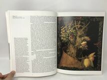 画集 ジュゼッペ・アルチンボルド Giuseppe Arcimboldo Life and work of Arcimboldo Pictures Drawings 洋書 Taschen N0762_画像6