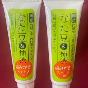 柿渋なた豆歯磨き粉 歯磨き粉 なた豆柿渋歯磨き 歯みがき粉 オーラルケア 口臭 エチケット 口臭予防 120g 2本