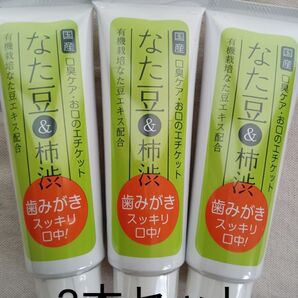 柿渋なた豆歯磨き粉 歯磨き粉 なた豆柿渋歯磨き 歯みがき粉 口臭予防 エチケット オーラルケア 120g 3本