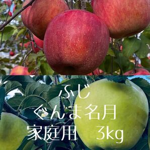 信州産 ふじ ぐんま名月 家庭用 3kg
