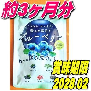 目に良い栄養素ブルーベリー約3か月分サプリメント約シードコムス 推しクーポンでお得