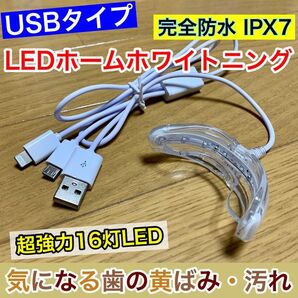 【USB接続/16灯式LED】歯科ホームホワイトニング/セルフホワイトニング