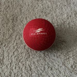 フィールドフォース FIELD FORCE トレーニングボール