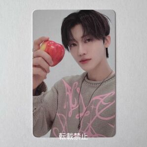 2025 SMTOWN FAMILY トレカ NCT DREAM ジェミン