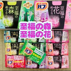 ②10 入浴剤 花王バブ kao 至福の花めぐり浴 バブ 詰め合わせ 至福の森 10種類10個