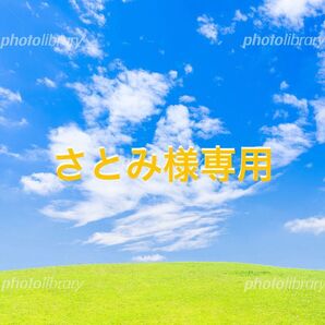 アモーレ20 ローズ20