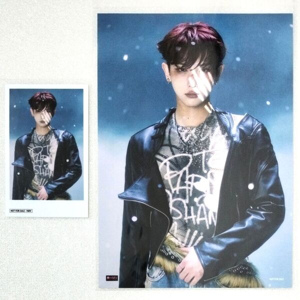 &TEAM harua ハルア Back To Life HMV チェキ風ブロマイド SHIBUYA限定2L判ブロマイド