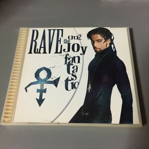 プリンス Rave Un2 The Joy Fantastic EU盤CD