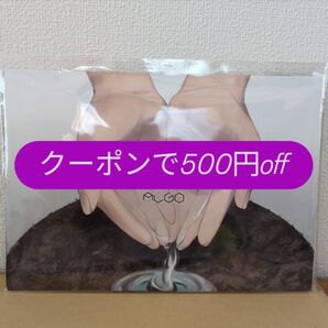 world 持ち帰り謎 algo