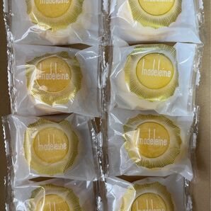 マドレーヌ 8個入り 個包装 焼き菓子 スイーツ お菓子