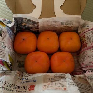 和歌山県 富有柿 5個セット