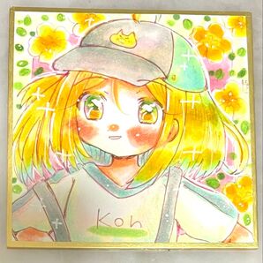 【過去作】オリジナル 手描きイラスト 無鉄砲 【豆色紙】