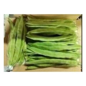 まもなく終了・ハウス柔らかいんげん800グラム