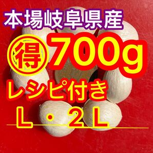 レシピ付き!本場岐阜県産 本家やませき藤九郎銀杏 700g L・2L
