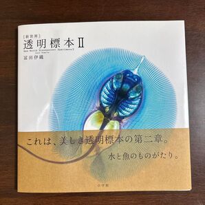 透明標本Ⅱ 富田伊織 小学館 新世界 水と魚のものがたり