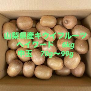 山梨県産キウイフルーツ中玉6kg70〜99g