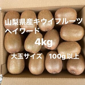 山梨県産キウイフルーツ4kg大玉100g以上