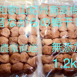 和歌山 紀州 南高梅 梅干し 無添加 農家直送梅流し対応可 今月号の雑誌クロワッサンに紹介されています
