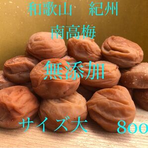 和歌山 紀州 南高梅 梅干し 無添加 農家直送 サイズ大 今月号の雑誌クロワッサンに紹介されています