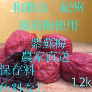 和歌山 紀州 紫蘇梅 南高梅使用 農家直送 着色料 保存料なし 昔ながらの紫蘇梅 今月号のクロワッサンに掲載中