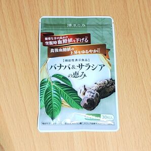 【新品】和漢の森 バナバ&サラシアの恵み サプリメント 30日分 13時発送 血糖値対策