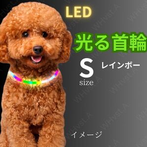 犬 ドッグ 光る 首輪 LED Sサイズ レインボー USB充電 夜間 散歩用