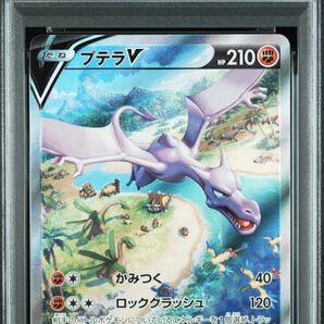 プテラV PSA10
