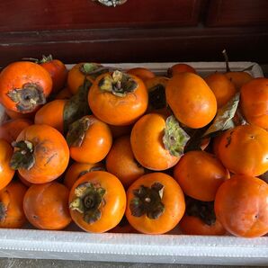 自宅で取れた柿です。