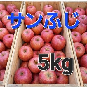 ふじ 5kg 家庭用 青森産 りんご