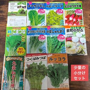 プランター栽培な野菜のタネ 11種類の少量セット 野菜の種 ラディッシュ、小かぶ入り