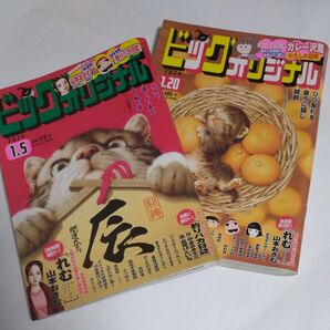 2024.1.5と1.20号ビッグコミックオリジナル