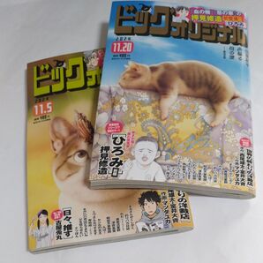 2024.11.5と11.20号ビッグコミックオリジナル