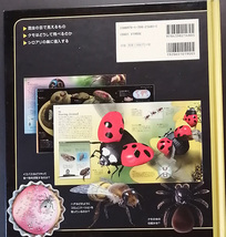 ★☆送料無料！【Insects & Spders】　「ビジュアル博物館 昆虫とクモ」　ノエル・タイト著☆★_画像2