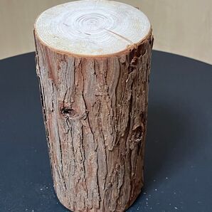 木材・切り株・材木