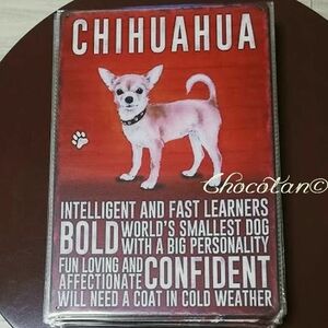[ free shipping ] chihuahua ① dog kind metal autograph plate metal signboard [ new goods ]