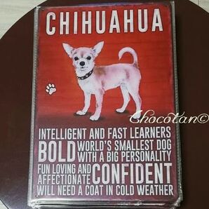 【送料無料】チワワ ① 犬種 メタルサインプレート メタル看板【新品】