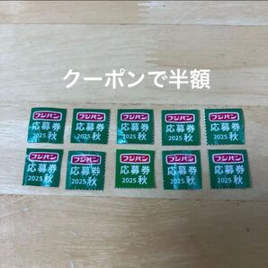 フジパン 秋の本仕込キャンペーン 2025秋 応募券10枚 ミッフィーコットンバッグ ミッフィー