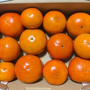 柿 富有柿 1.1〜1.2kg