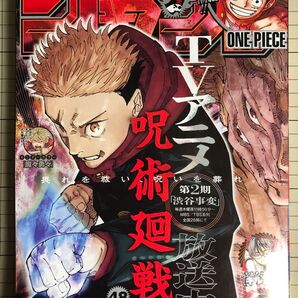 蒼様専用出品。週刊少年ジャンプ 2023年 11月13日 48号 美品
