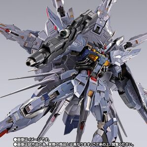 メタルビルド METAL BUILD プロヴィデンスガンダム CLIMAX BATTLE Ver. 抽選販売限定