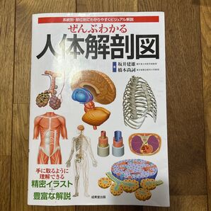 ぜんぶわかる人体解剖図 系統別・部位別にわかりやすくビジュアル解説 坂井建雄/著 橋本尚詞/著