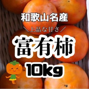 和歌山県産 富有柿約10kg ご家庭用