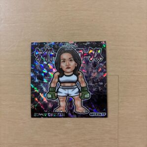 RIZIN神戸大会ケイトロータスアベマシール