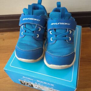 SHUNSOKU 瞬足 17.0cm EE スニーカー 足育シリーズ 青系 男の子 子供スニーカー