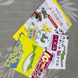 大人の塗り絵 いきいき脳ドリル 10分間漢字学 3冊セット