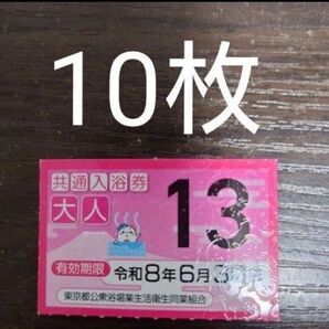 東京都 共通入浴券 10枚