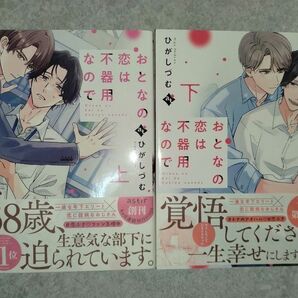 おとなの恋は不器用なので 上下/ひがしづむ
